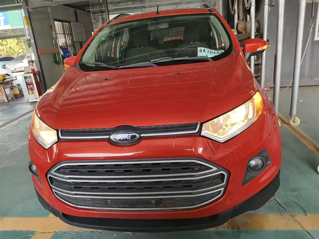 Ford Ecosport 2015 — фото 19