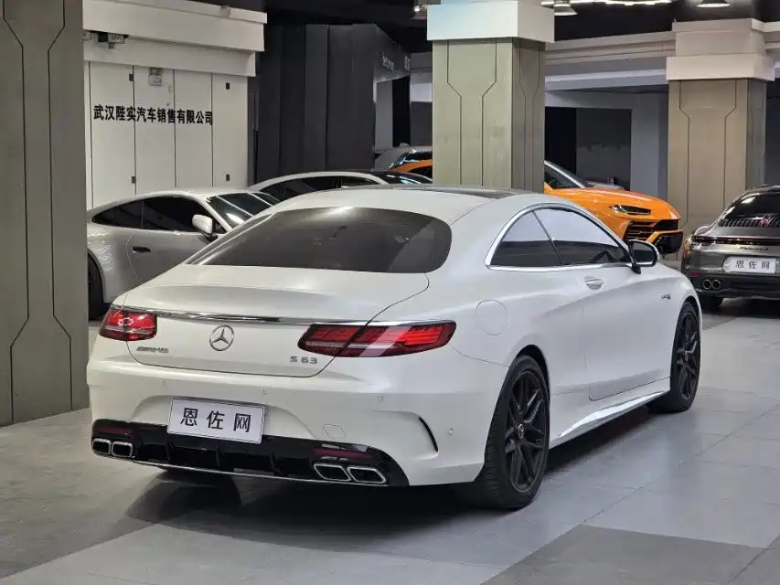 Mercedes-Benz S-Class AMG 2018 — фото 16