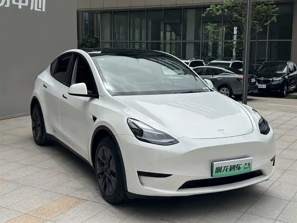 Tesla Model Y 2024 — фото 4
