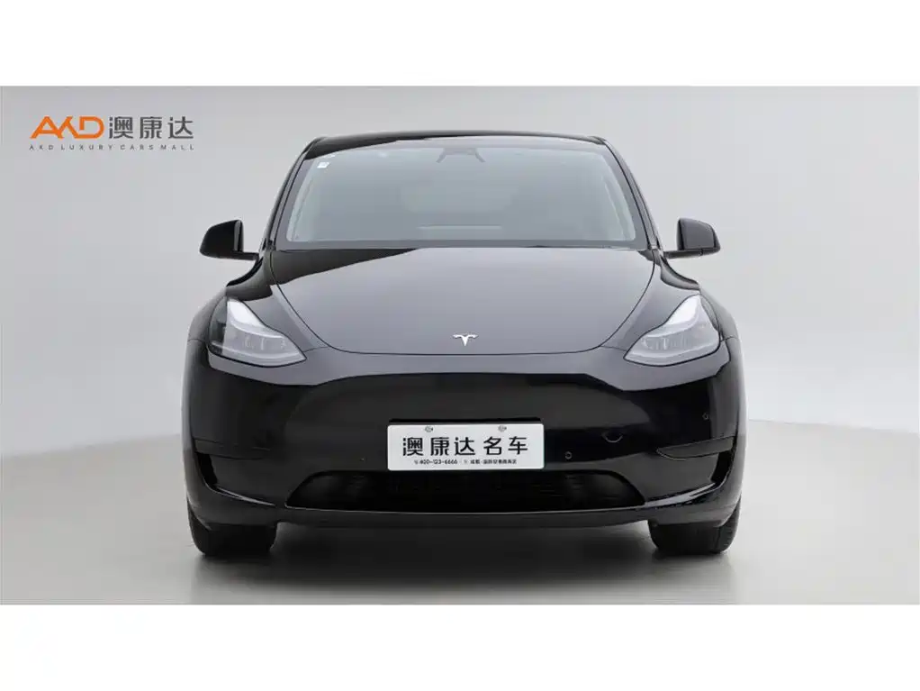 Tesla Model Y 2023 — фото 2