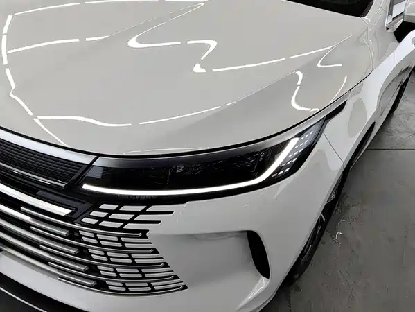 BYD Destroyer 05 2024