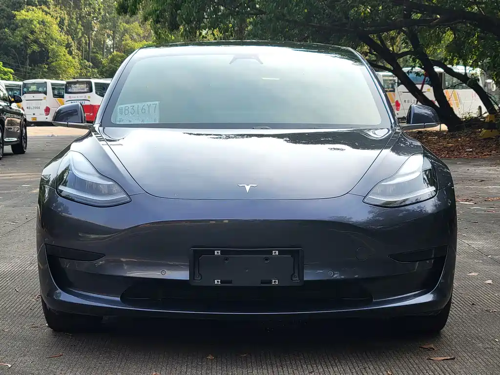 Tesla Model 3 2020 — фото 2