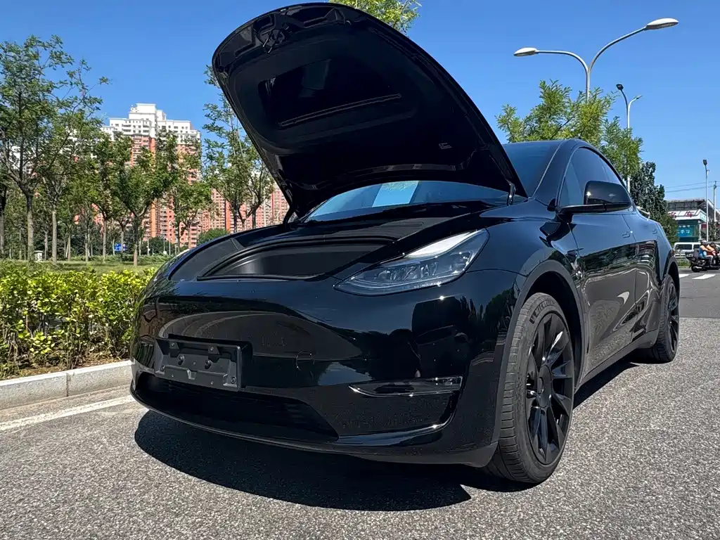 Tesla Model Y 2024 — фото 10