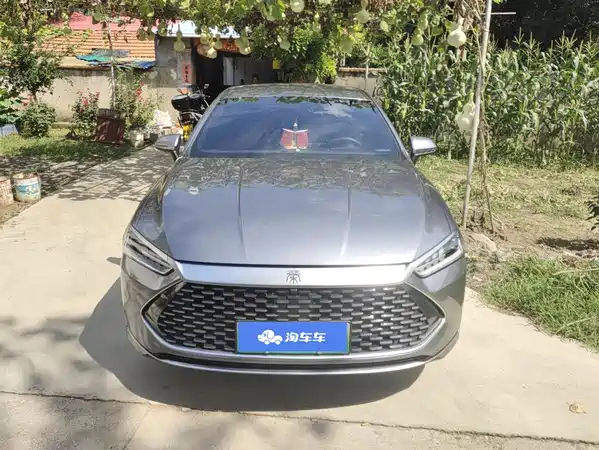 BYD Qin PLUS 2024