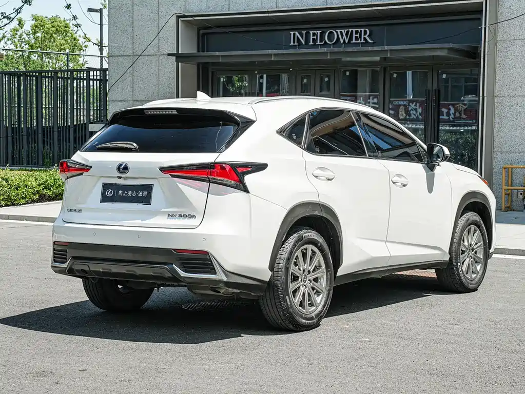 Lexus NX 2019