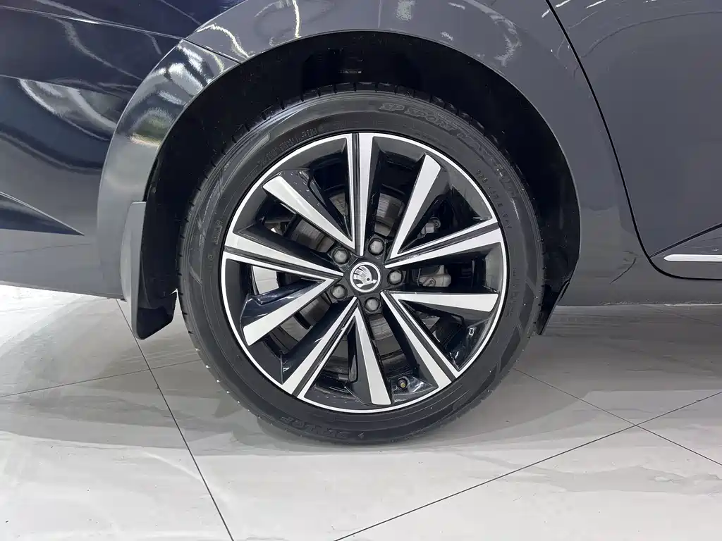 Skoda Speedy 2022 — фото 19