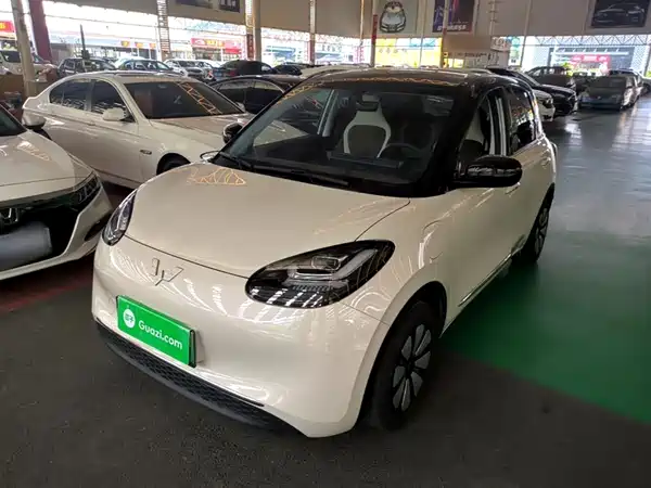 Wuling Bingo 2024