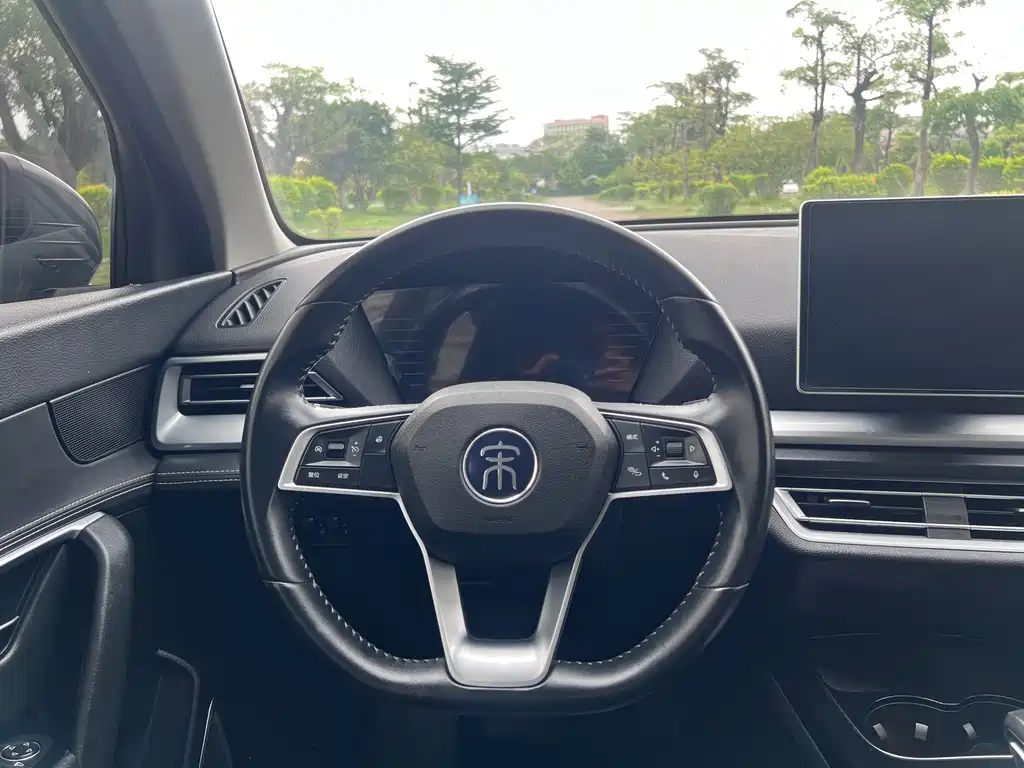 BYD Pro 2020 — фото 10