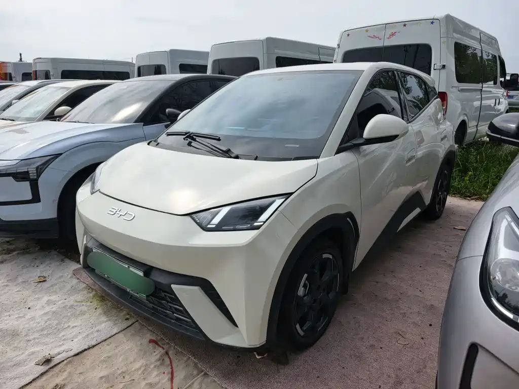 BYD Seagull 2025