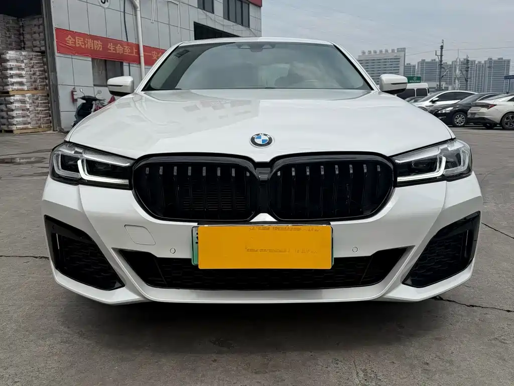 BMW 5 Series New Energy 2020 — фото 2