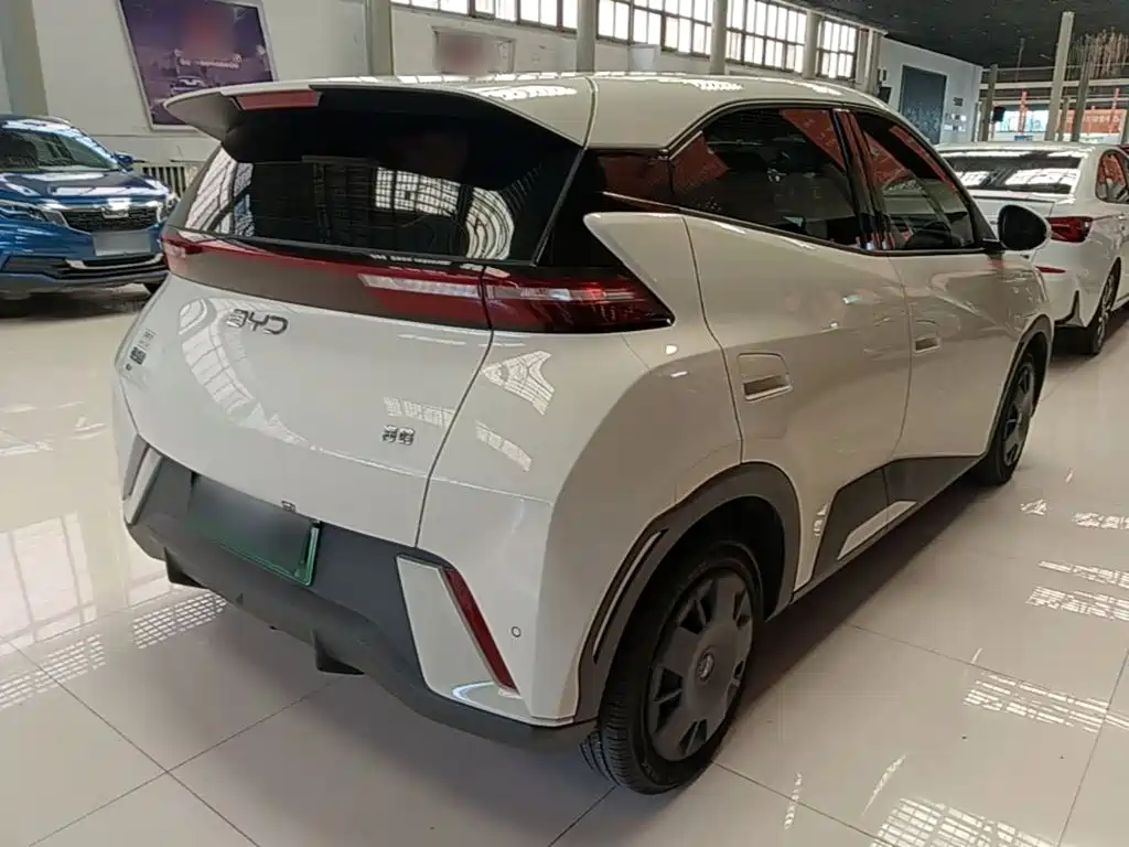 BYD Seagull 2024