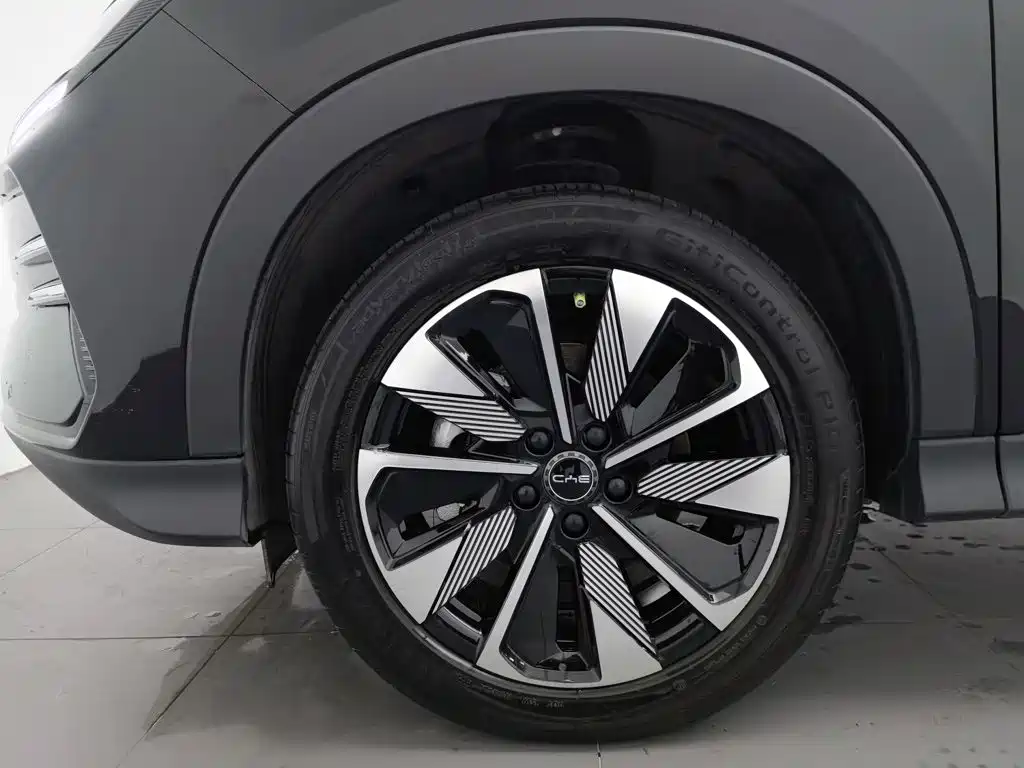 BYD Song PLUS New Energy 2024 — фото 17