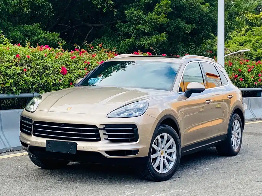 Porsche Cayenne 2019 — фото 2