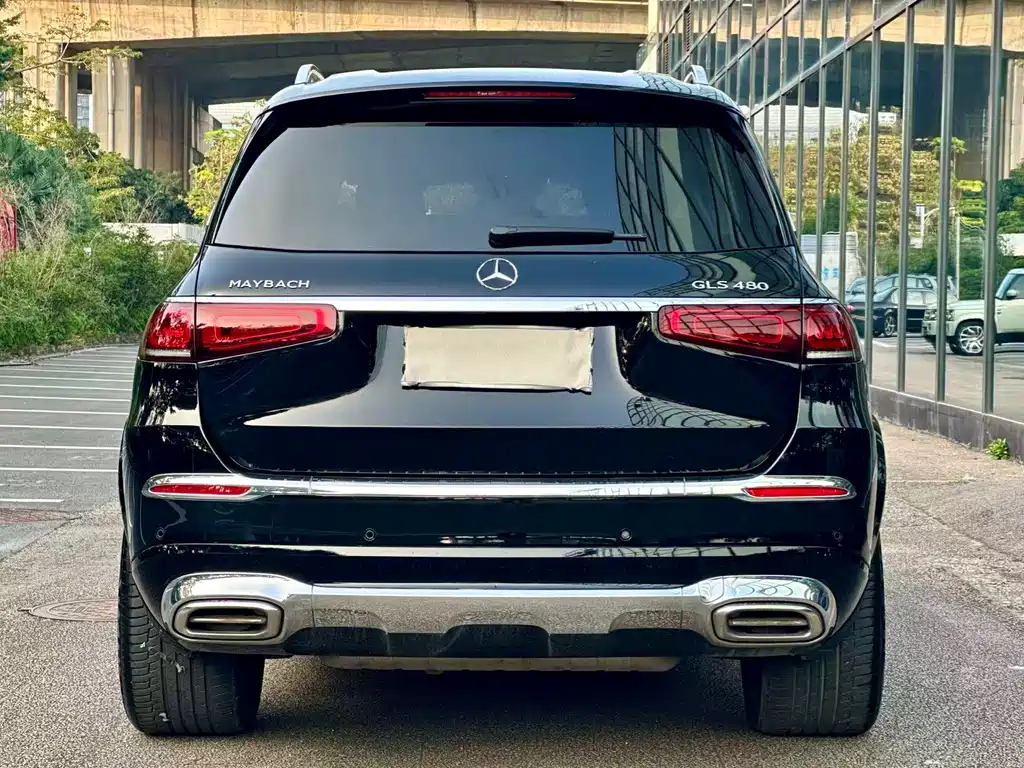 Mercedes-Benz GLS 2023 — фото 15