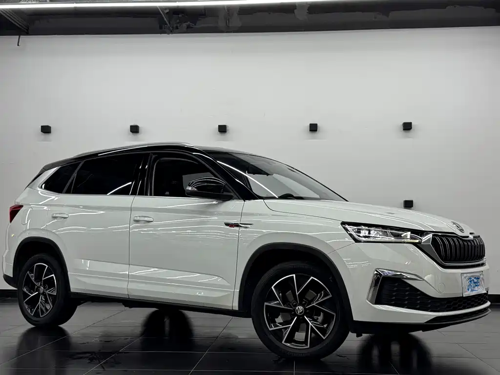 Skoda Kamiq 2024 — фото 13