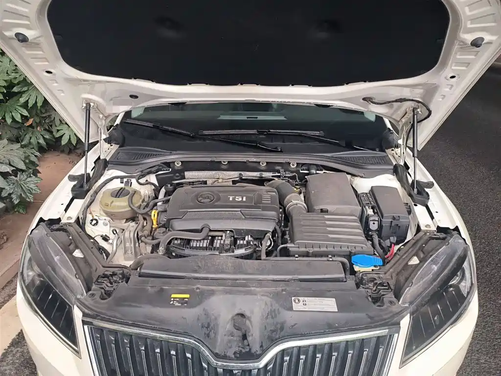 Skoda Superb 2019 — фото 16