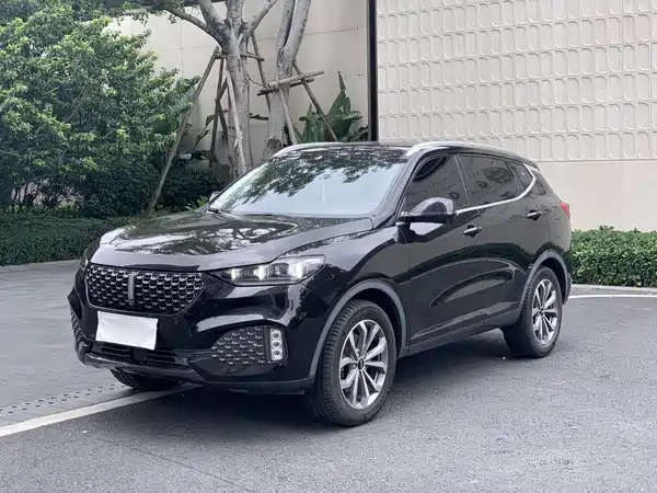 Wey VV6 2020