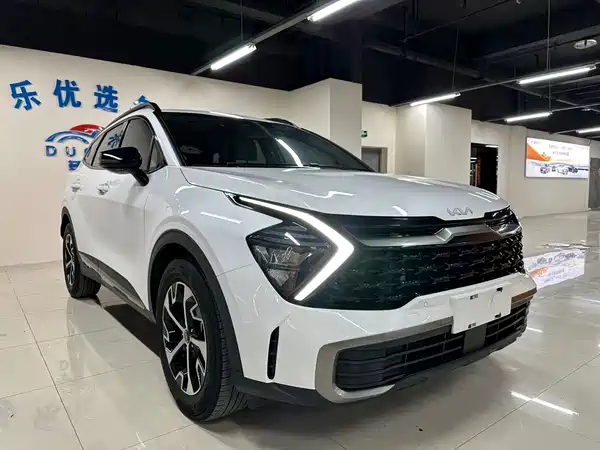 Kia Lion Platinum Expands The Boundary 2023