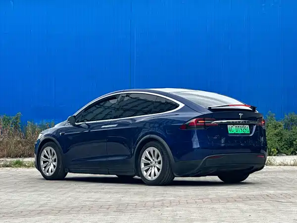 Tesla Model X 2019