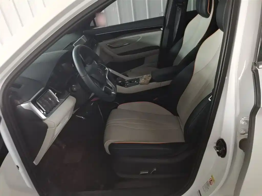 BYD PLUS New Energy 2023 — фото 15