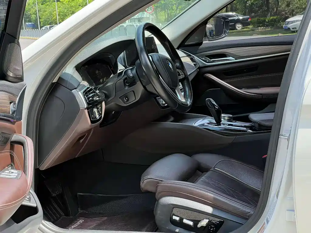 BMW 5 Series New Energy 2019