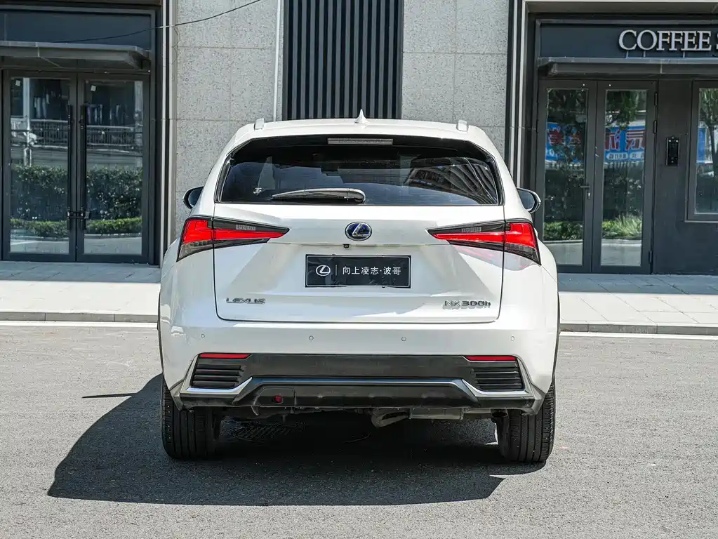 Lexus NX 2019