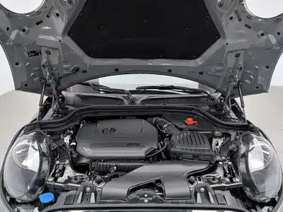 MINI MINI 2021