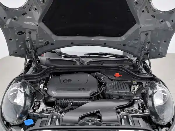 MINI 2021