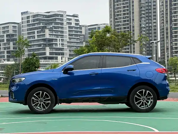 Wey VV5 2020