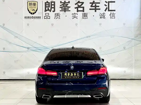 BMW 5 Series New Energy 2022