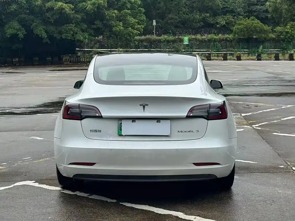Tesla Model 3 2021 — фото 10