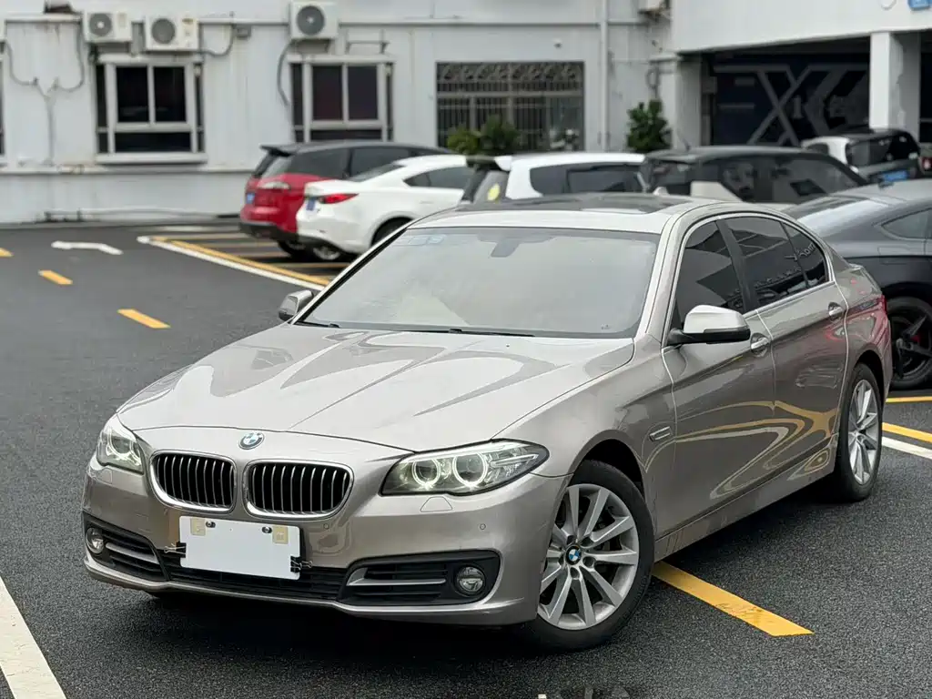 BMW 5 Series 2014 — фото 16