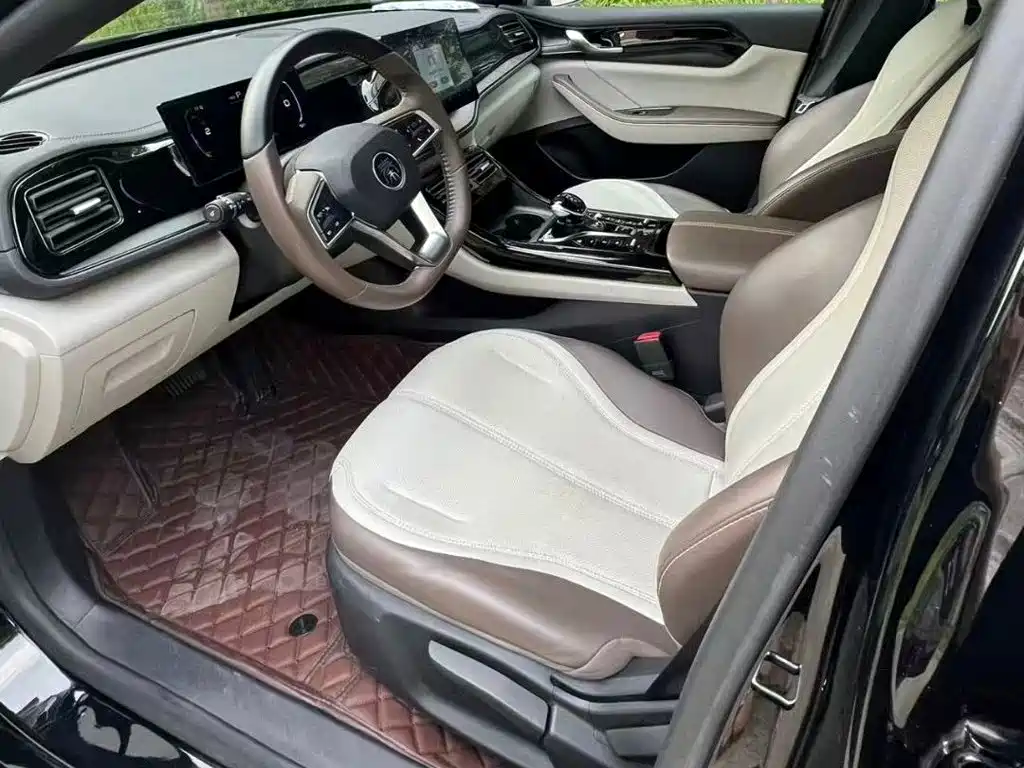 BYD Qin PLUS 2024 — фото 19