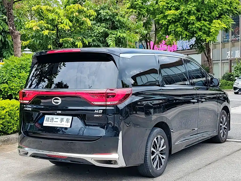 GAC Trumpchi M8 2022 — фото 5