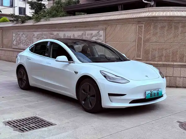 Tesla Model 3 2019