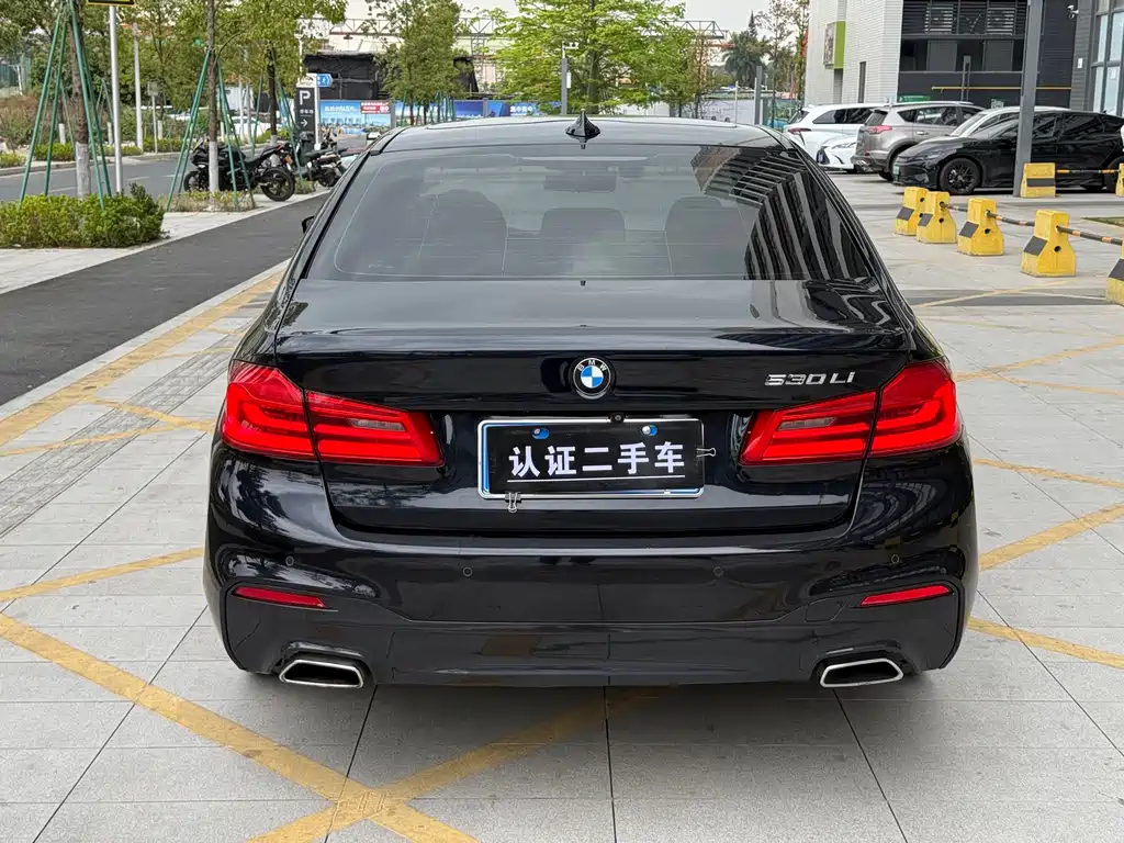 BMW 5 Series 2017 — фото 14