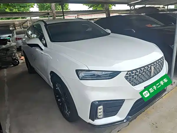 Wey VV7 New Energy 2020