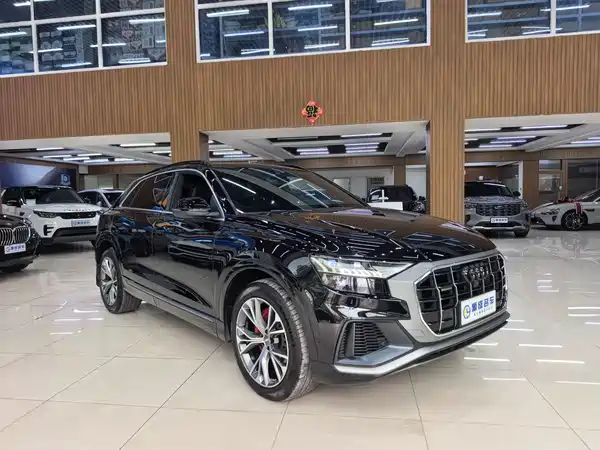 Audi Q8 2019