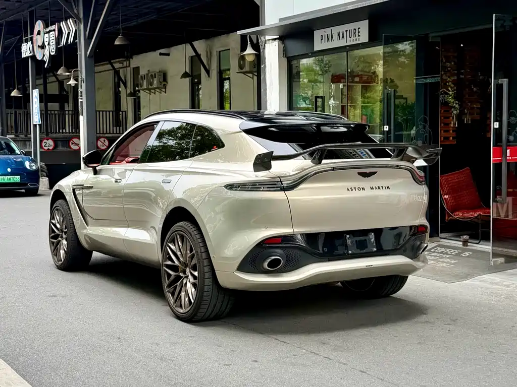 Aston Martin DBX 2023 — фото 5