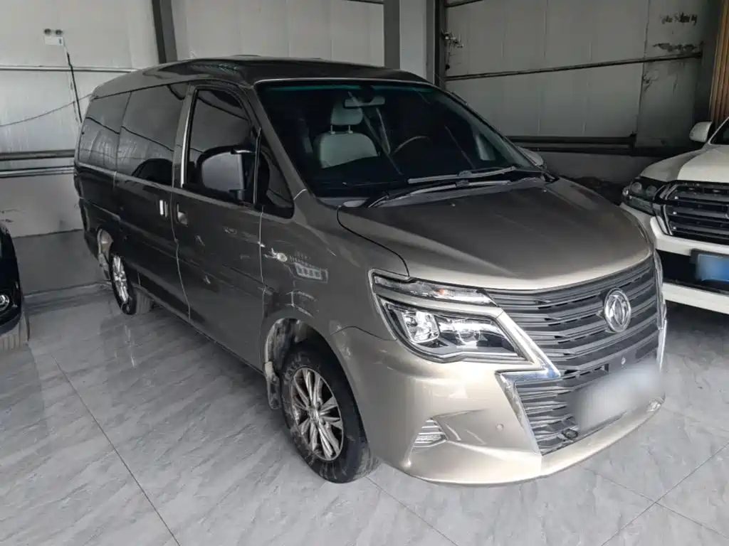 Dongfeng Lingzhi 2020