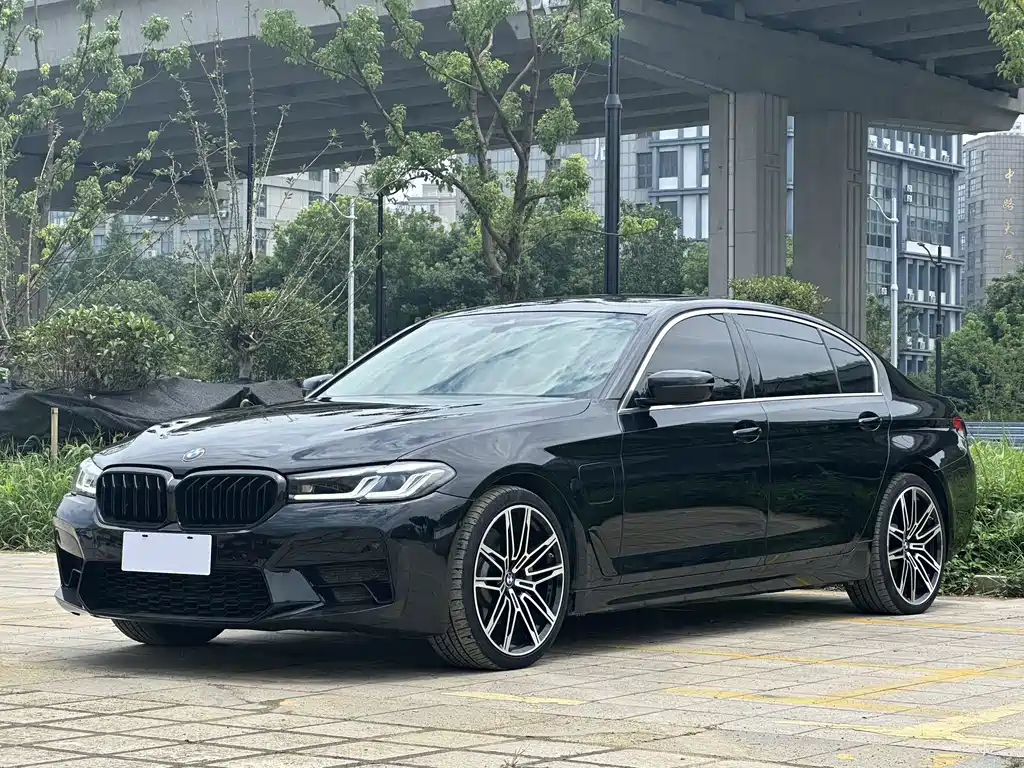 BMW 5 Series New Energy 2020