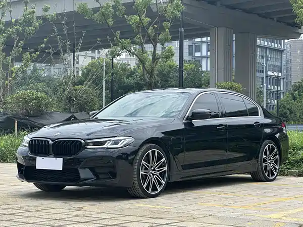 BMW 5 Series New Energy 2020