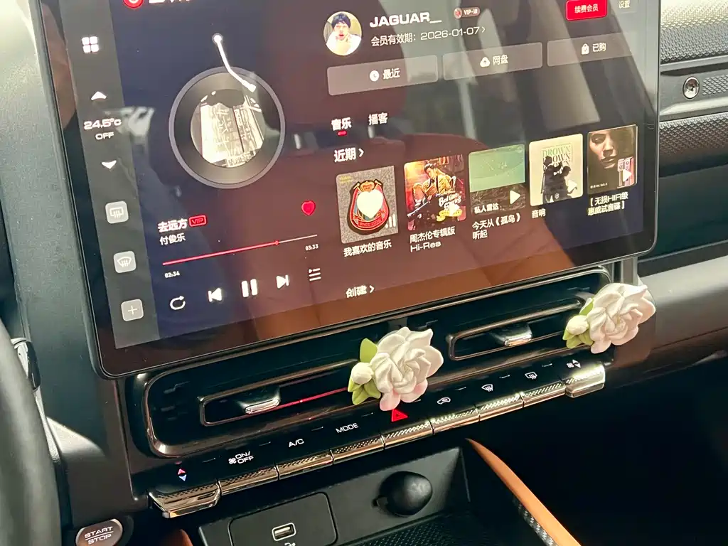 Haval Menglong New Energy 2023 — фото 39