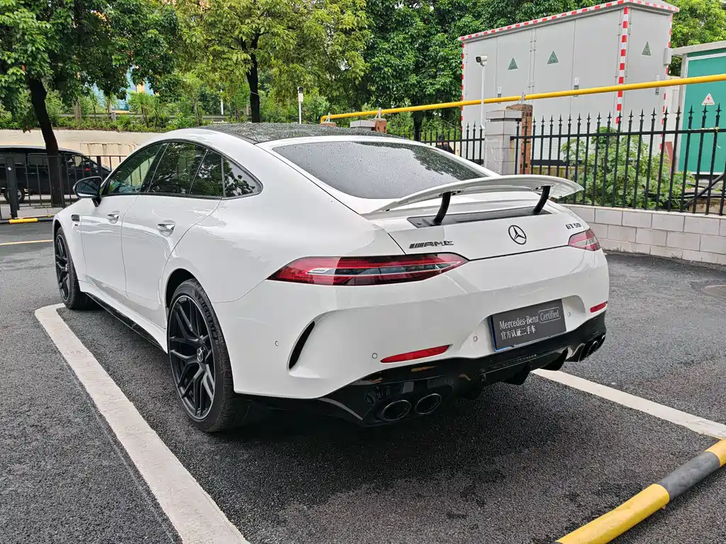 Mercedes-Benz AMG GT 2025 — фото 18