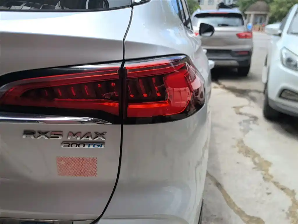 Roewe RX5 MAX 2021 — фото 8