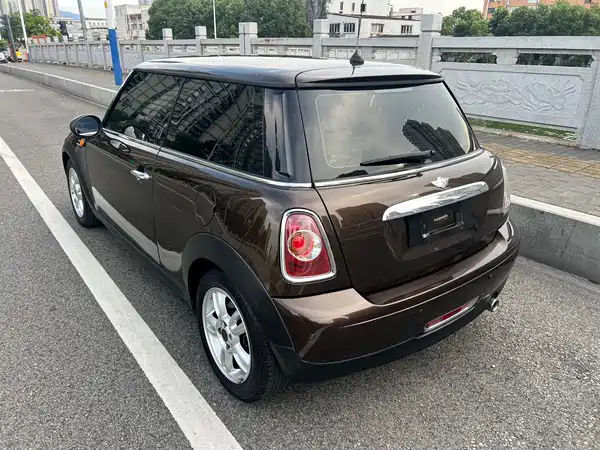 MINI 2013