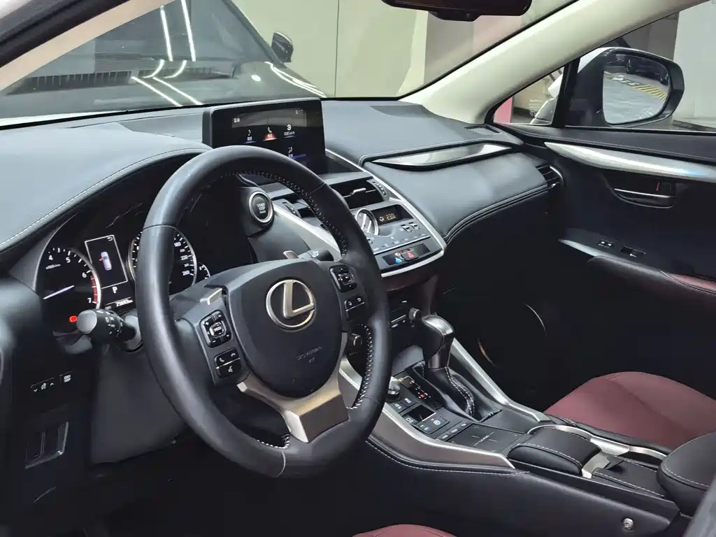 Lexus NX 2019 — фото 14