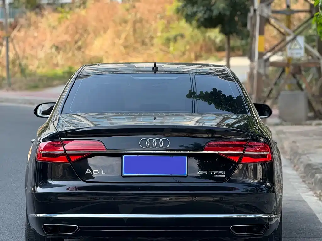 Audi A8 2016 — фото 17