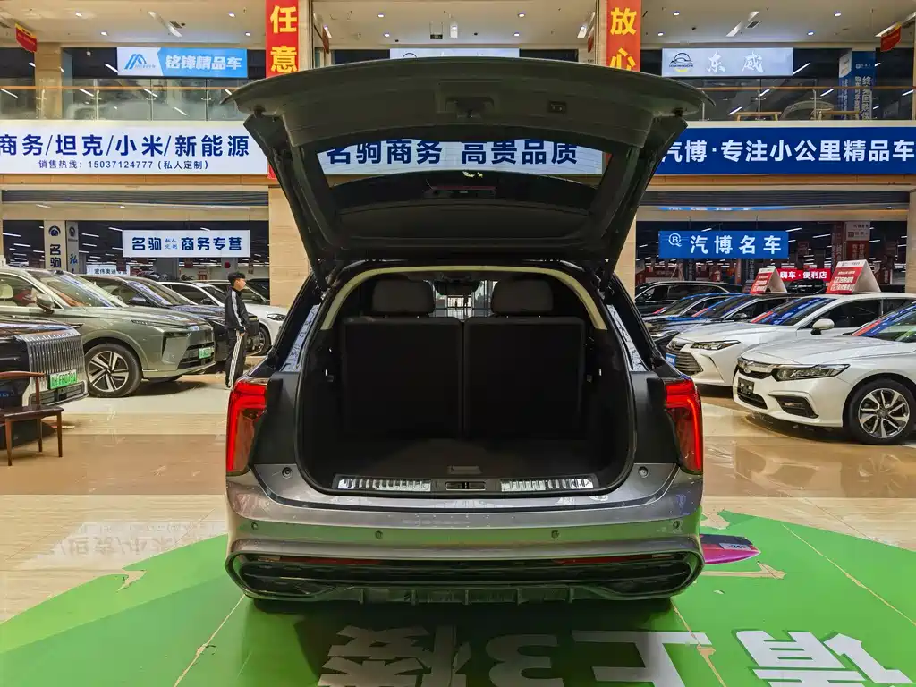 Hongqi E-HS9 2021 — фото 10