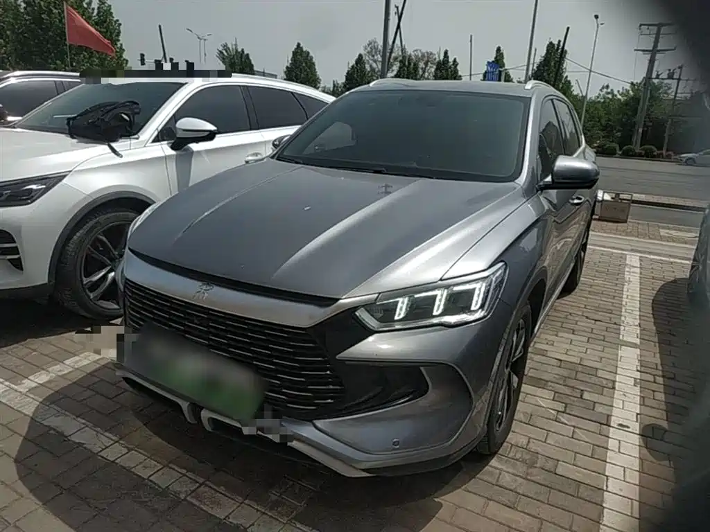 BYD Pro New Energy 2024 — фото 2